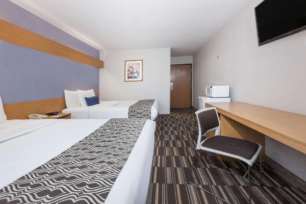 Microtel Inn & Suites by Wyndham Ardmore image 3